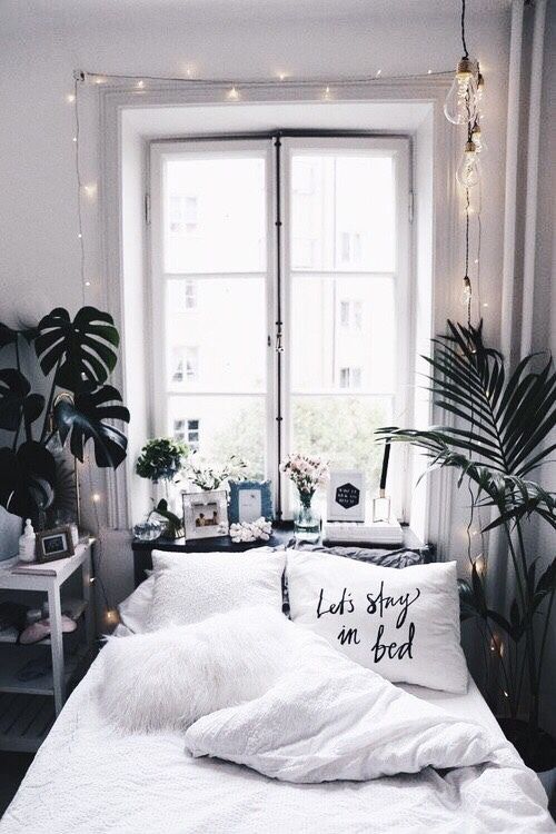 VSCO Bedroom Ideas - Plenty of Plants, Fake or Real and Succulents